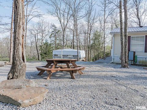 Tiny photo for 565 Dutton Chapel Road, Golconda, IL 62938 (MLS # EB457611)