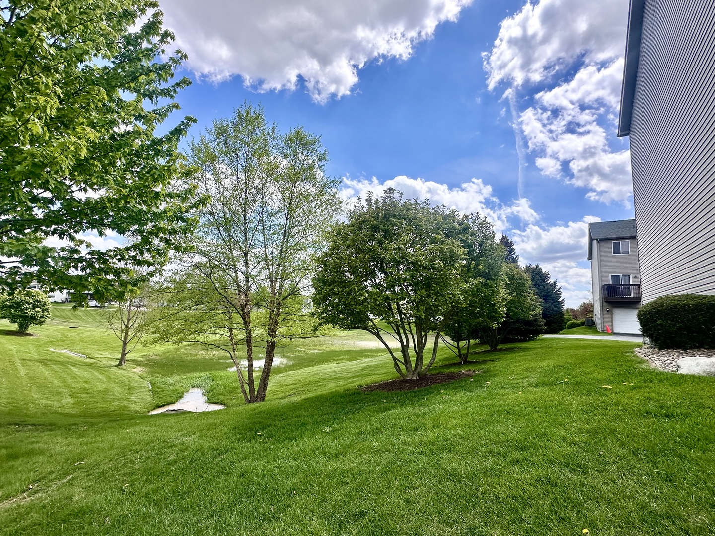 2110 Austrian Pine Street