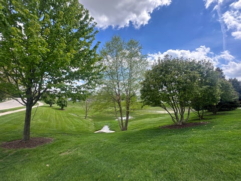Tiny photo for 2110 Austrian Pine Street, Lockport, IL 60441 (MLS # 12647872)