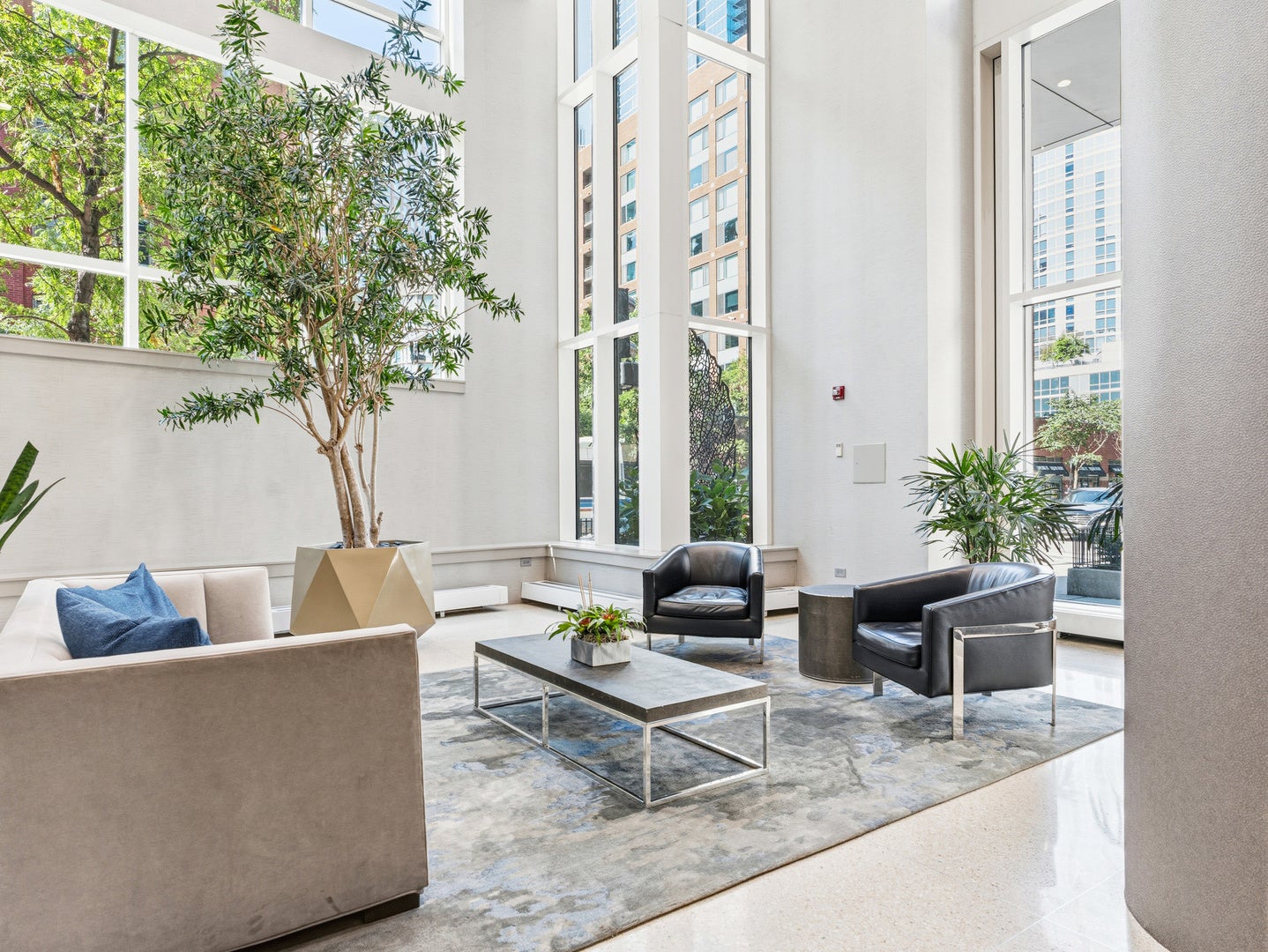 505 N McClurg Court 2301