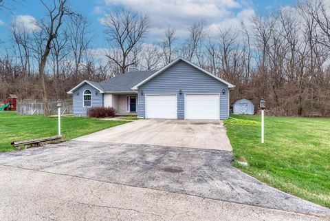 Tiny photo for Wilmington, IL 60481 (MLS # 12605003)