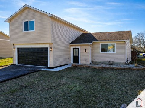 Photo of 50 Willow Road, Matteson, IL 60443 (MLS # 12602625)