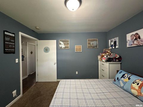 Tiny photo for 525 NORTH Street, Murphysboro, IL 62966 (MLS # 12537476)