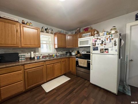 Tiny photo for 525 NORTH Street, Murphysboro, IL 62966 (MLS # 12537476)