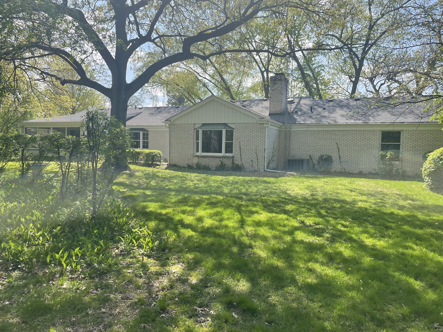 708 Timberline Drive