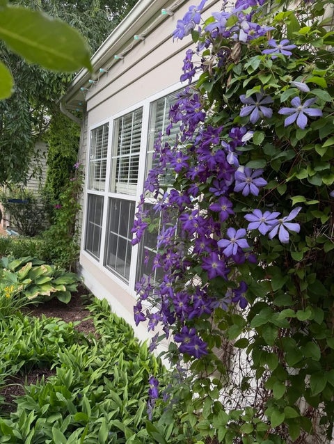 Tiny photo for 7502 Southworth Circle, Plainfield, IL 60586 (MLS # 12676661)