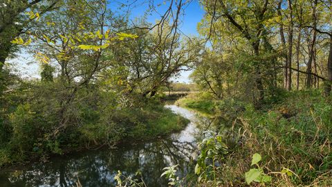 Tiny photo for 5810 W Lightsville Road, Leaf River, IL 61047 (MLS # 12490994)