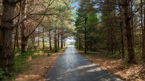 Tiny photo for 5810 W Lightsville Road, Leaf River, IL 61047 (MLS # 12490994)