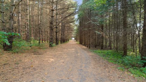 Tiny photo for 5810 W Lightsville Road, Leaf River, IL 61047 (MLS # 12490994)