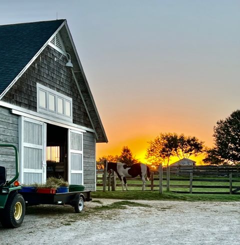 Tiny photo for 1347 Wild Indigo Road, Grayslake, IL 60030 (MLS # 12613081)