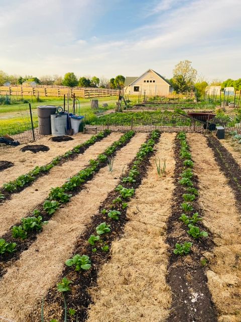 Tiny photo for 1347 Wild Indigo Road, Grayslake, IL 60030 (MLS # 12613081)