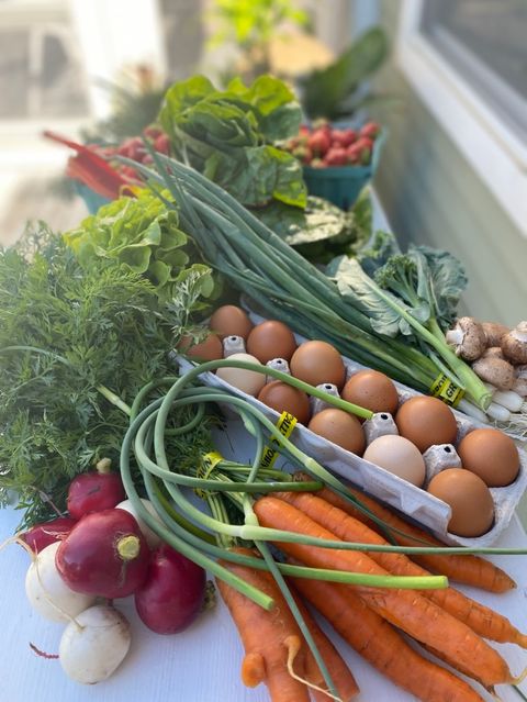 Tiny photo for 1347 Wild Indigo Road, Grayslake, IL 60030 (MLS # 12613081)