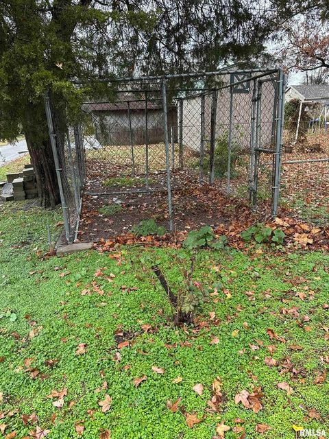 Tiny photo for 105 N HICKORY Street, Duquoin, IL 62832 (MLS # EB460590)