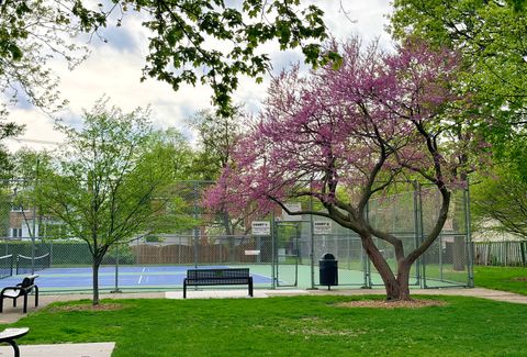 Tiny photo for 8144 Keystone Avenue, Skokie, IL 60076 (MLS # 12673934)