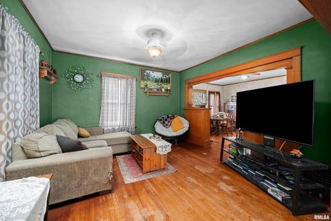 Tiny photo for 415 SW 4TH Avenue, Galva, IL 61434 (MLS # QC4268932)