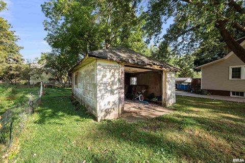 Tiny photo for 415 SW 4TH Avenue, Galva, IL 61434 (MLS # QC4268932)