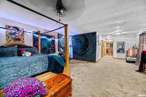 Tiny photo for 415 SW 4TH Avenue, Galva, IL 61434 (MLS # QC4268932)