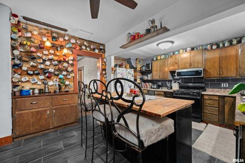 Tiny photo for 415 SW 4TH Avenue, Galva, IL 61434 (MLS # QC4268932)