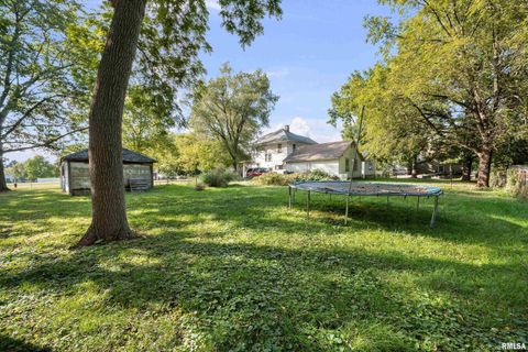 Tiny photo for 415 SW 4TH Avenue, Galva, IL 61434 (MLS # QC4268932)