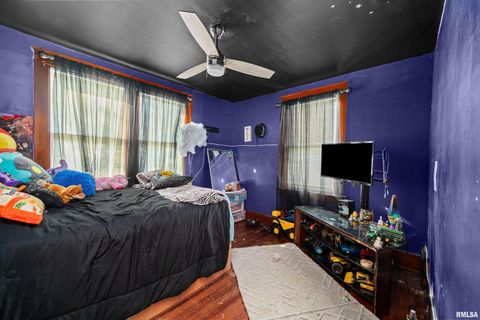 Tiny photo for 415 SW 4TH Avenue, Galva, IL 61434 (MLS # QC4268932)