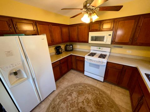 Tiny photo for Joliet, IL 60436 (MLS # 12589492)