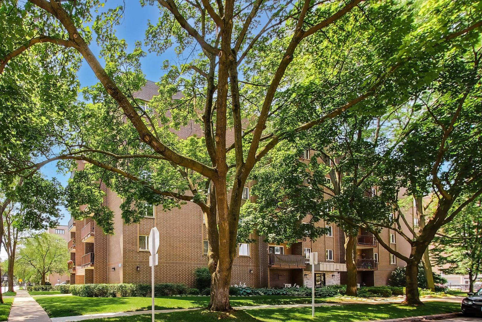 1365 Ashland Avenue 501