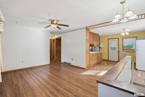 Tiny photo for 1121 W 6TH Street, Milan, IL 61264 (MLS # QC4268957)