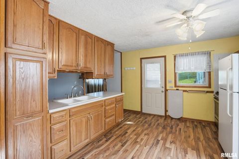 Tiny photo for 1121 W 6TH Street, Milan, IL 61264 (MLS # QC4268957)