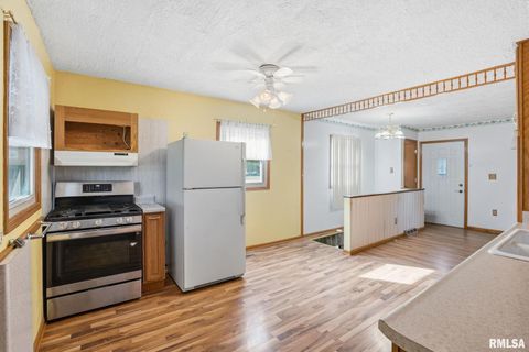 Tiny photo for 1121 W 6TH Street, Milan, IL 61264 (MLS # QC4268957)
