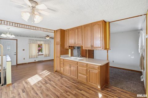 Tiny photo for 1121 W 6TH Street, Milan, IL 61264 (MLS # QC4268957)