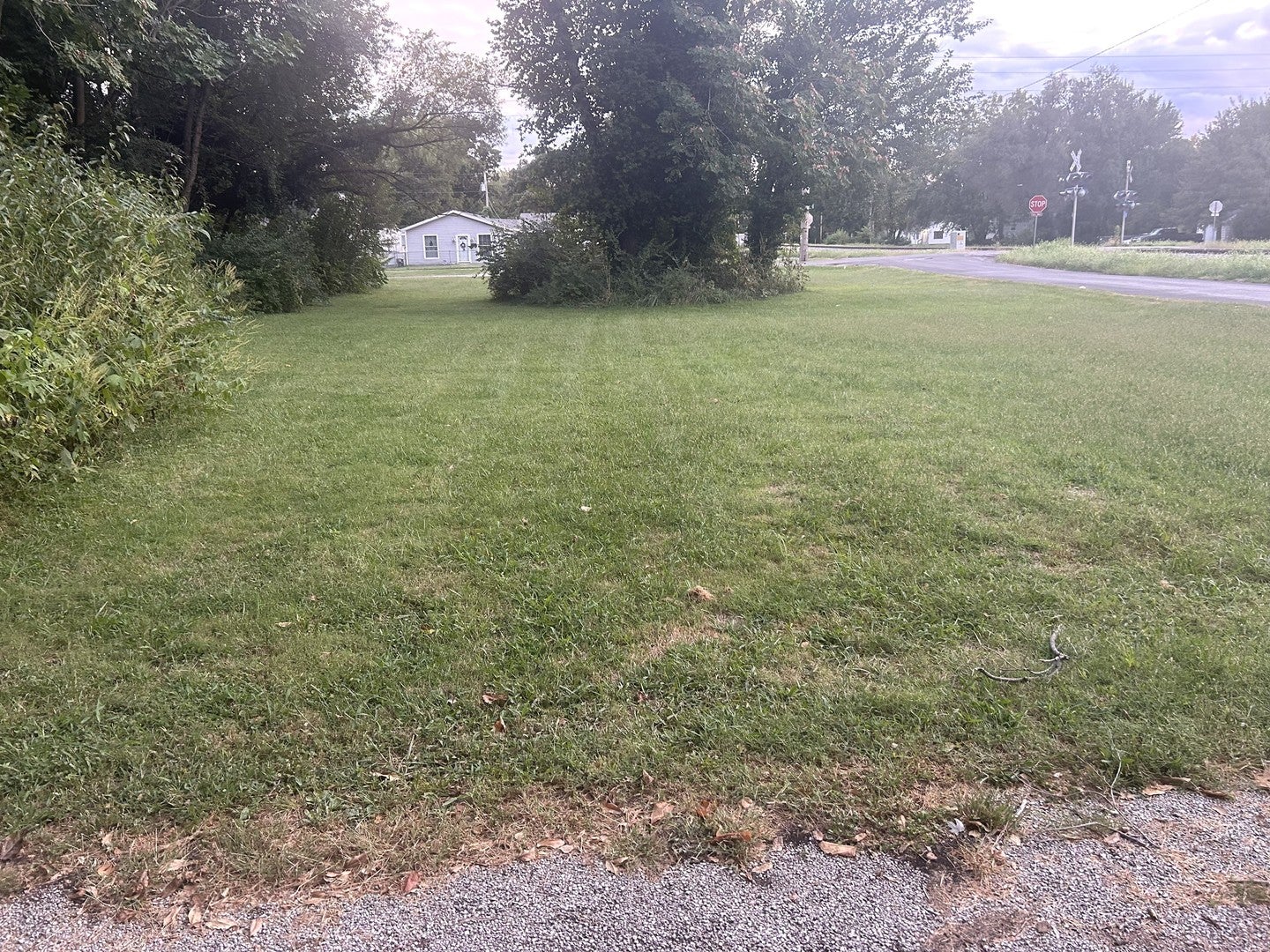 2005 E Cedar Street
