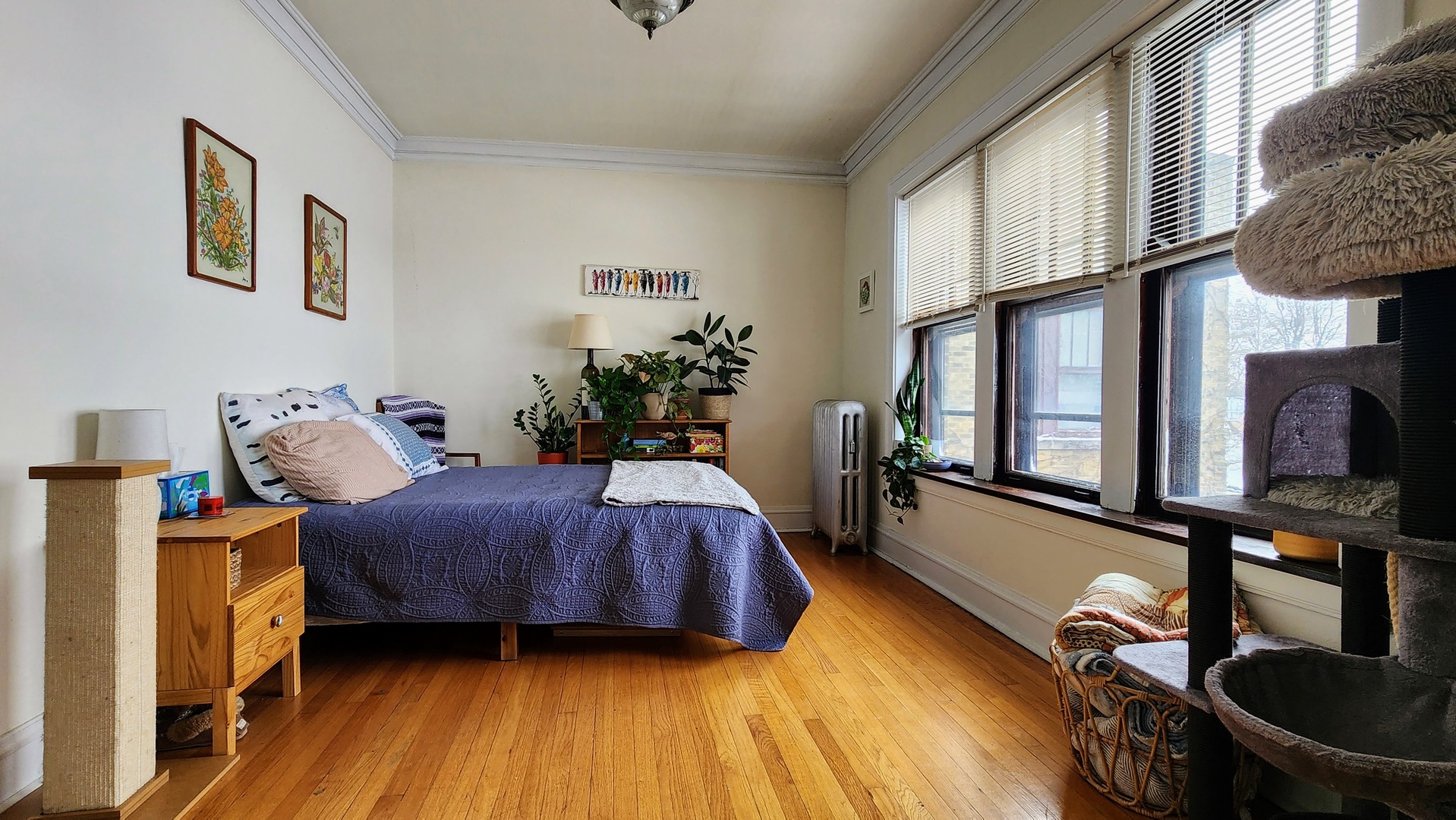 1919 W Berteau Avenue 3B