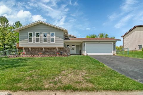 424 Falcon Ridge Way Bolingbrook IL 60440