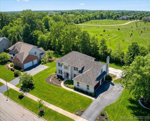 Tiny photo for 2007 Gillenwater Street, Batavia, IL 60510 (MLS # 12583391)