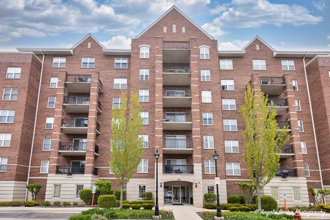 390 W Mahogany Court 301 Palatine IL 60067