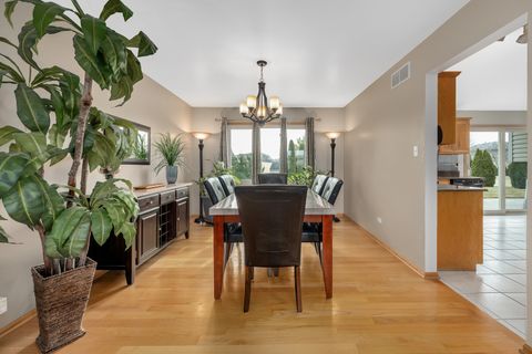 Tiny photo for Homer Glen, IL 60491 (MLS # 12568908)