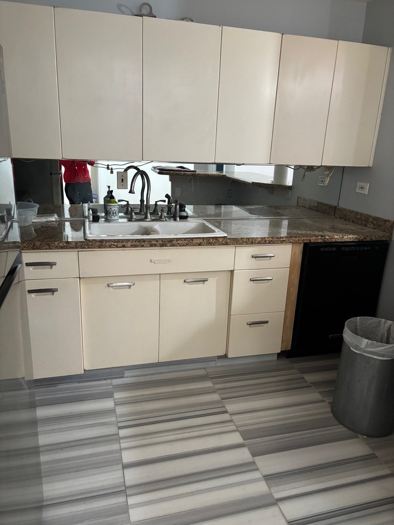 900 N LAKE SHORE Drive 1606