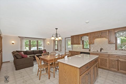 Tiny photo for 144 1st Avenue, New Lenox, IL 60451 (MLS # 12668048)