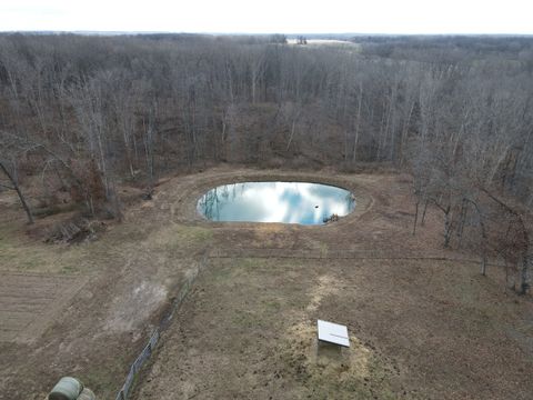 Tiny photo for 9576 State Route 161 Extension, Iuka, IL 62849 (MLS # 12554094)