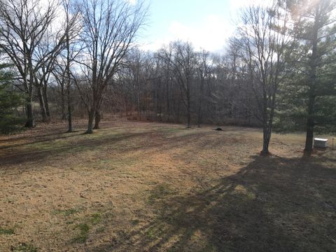 Tiny photo for 9576 State Route 161 Extension, Iuka, IL 62849 (MLS # 12554094)