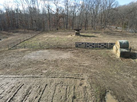 Tiny photo for 9576 State Route 161 Extension, Iuka, IL 62849 (MLS # 12554094)