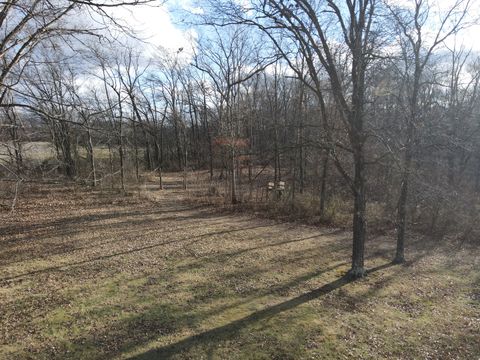 Tiny photo for 9576 State Route 161 Extension, Iuka, IL 62849 (MLS # 12554094)