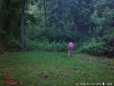 Tiny photo for 9576 State Route 161 Extension, Iuka, IL 62849 (MLS # 12554094)