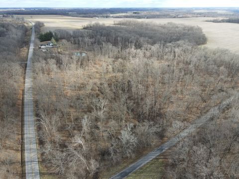 Tiny photo for 9576 State Route 161 Extension, Iuka, IL 62849 (MLS # 12554094)