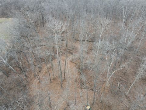 Tiny photo for 9576 State Route 161 Extension, Iuka, IL 62849 (MLS # 12554094)