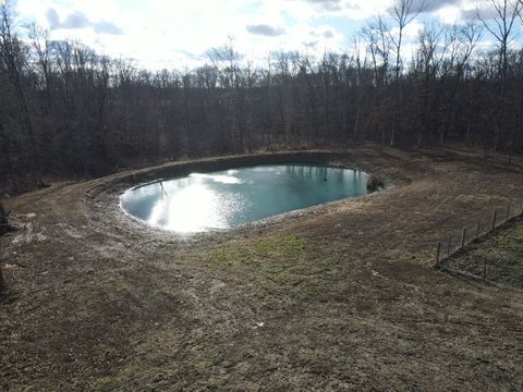 Tiny photo for 9576 State Route 161 Extension, Iuka, IL 62849 (MLS # 12554094)
