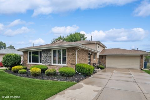 9133 Moody Avenue Oak Lawn IL 60453