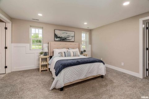 Tiny photo for 5157 Herrin Road, Carterville, IL 62918 (MLS # EB458064)