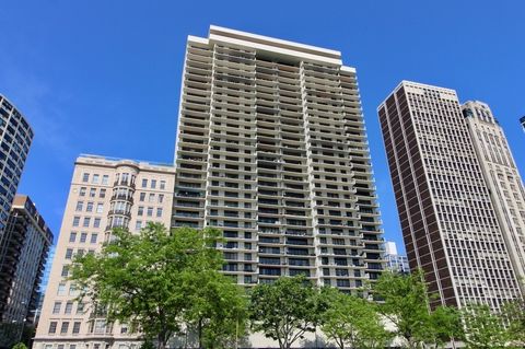 1212 N Lake Shore Drive 10CN Chicago IL 60610