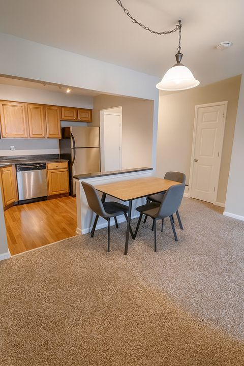 1100 N Plum Grove Road 313 Schaumburg IL 60173